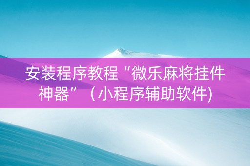 安装程序教程“微乐麻将挂件神器”（小程序辅助软件)