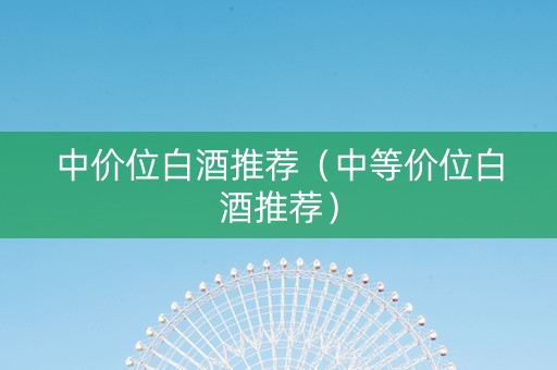 中价位白酒推荐（中等价位白酒推荐）