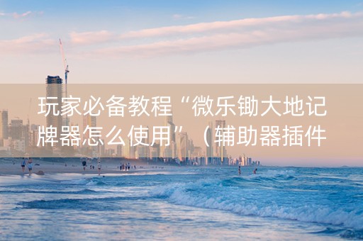 玩家必备教程“微乐锄大地记牌器怎么使用”（辅助器插件)