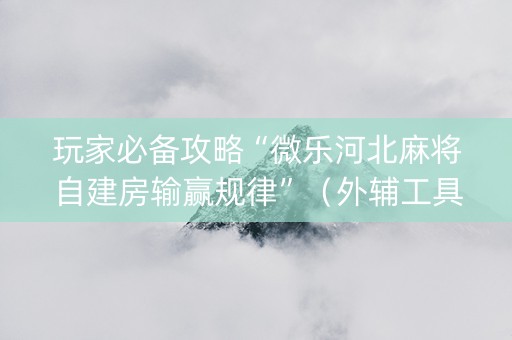 玩家必备攻略“微乐河北麻将自建房输赢规律”（外辅工具)