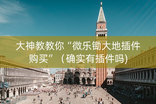 大神教教你“微乐锄大地插件购买”（确实有插件吗)