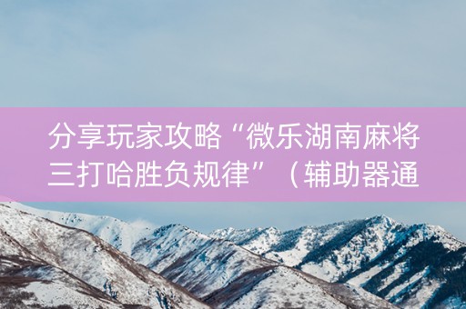 分享玩家攻略“微乐湖南麻将三打哈胜负规律”（辅助器通用版)