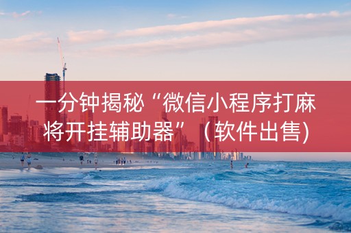 一分钟揭秘“微信小程序打麻将开挂辅助器”（软件出售)
