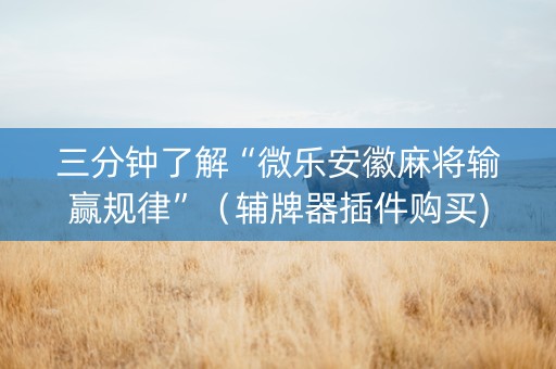 三分钟了解“微乐安徽麻将输赢规律”（辅牌器插件购买)