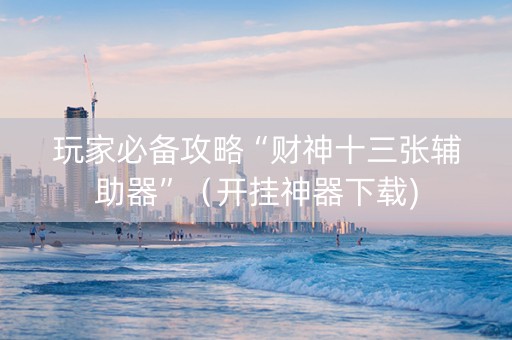 玩家必备攻略“财神十三张辅助器”（开挂神器下载)