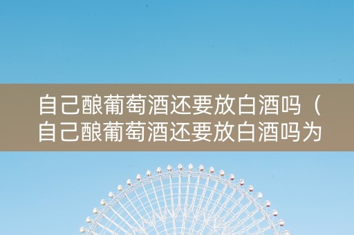 自己酿葡萄酒还要放白酒吗（自己酿葡萄酒还要放白酒吗为什么）