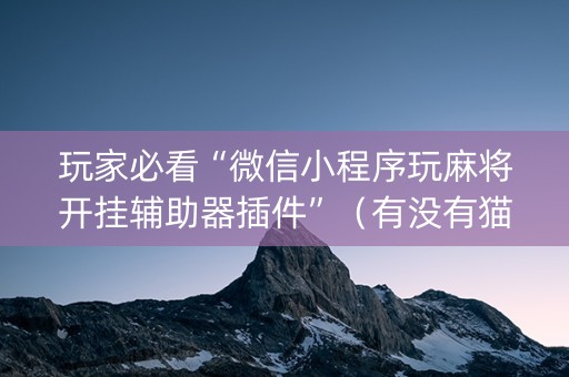 玩家必看“微信小程序玩麻将开挂辅助器插件”（有没有猫腻)