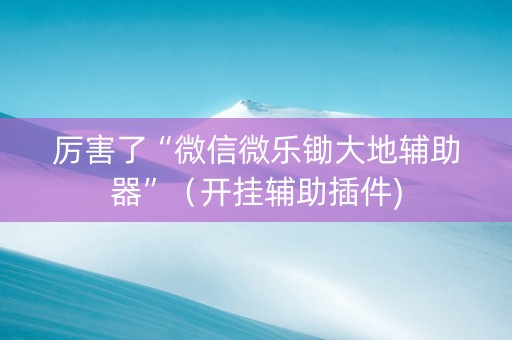 厉害了“微信微乐锄大地辅助器”（开挂辅助插件)
