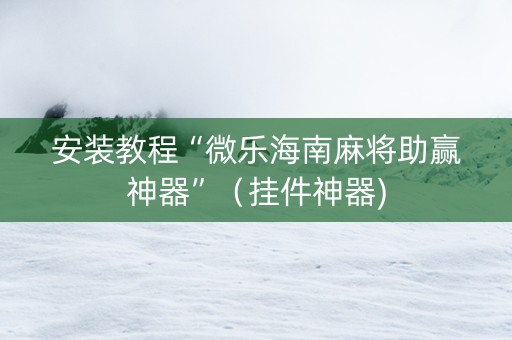 安装教程“微乐海南麻将助赢神器”（挂件神器)