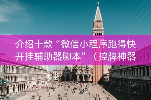 介绍十款“微信小程序跑得快开挂辅助器脚本”（控牌神器)