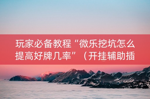 玩家必备教程“微乐挖坑怎么提高好牌几率”（开挂辅助插件)