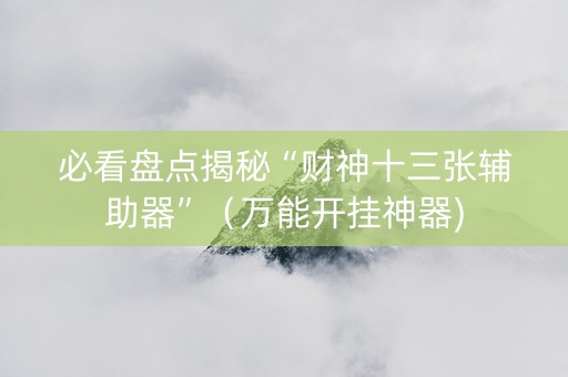 必看盘点揭秘“财神十三张辅助器”（万能开挂神器)