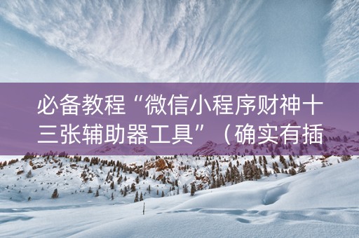 必备教程“微信小程序财神十三张辅助器工具”（确实有插件吗)