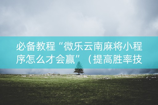必备教程“微乐云南麻将小程序怎么才会赢”（提高胜率技巧)
