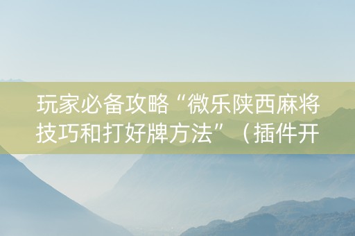 玩家必备攻略“微乐陕西麻将技巧和打好牌方法”（插件开挂免费AI)