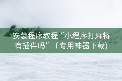 安装程序教程“小程序打麻将有插件吗”（专用神器下载)