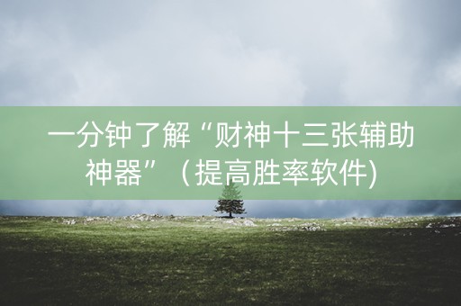 一分钟了解“财神十三张辅助神器”（提高胜率软件)