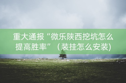 重大通报“微乐陕西挖坑怎么提高胜率”（装挂怎么安装)