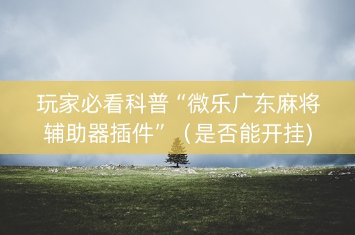 玩家必看科普“微乐广东麻将辅助器插件”（是否能开挂)