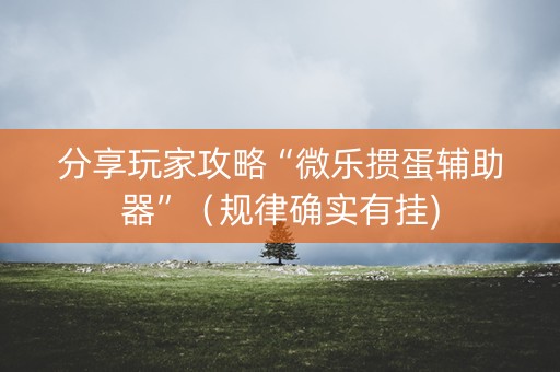 分享玩家攻略“微乐掼蛋辅助器”（规律确实有挂)