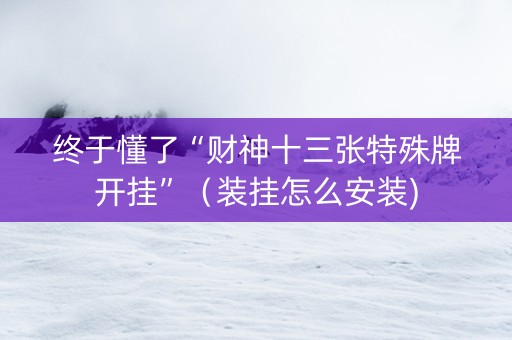 终于懂了“财神十三张特殊牌开挂”（装挂怎么安装)