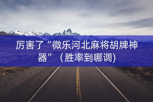 厉害了“微乐河北麻将胡牌神器”（胜率到哪调)