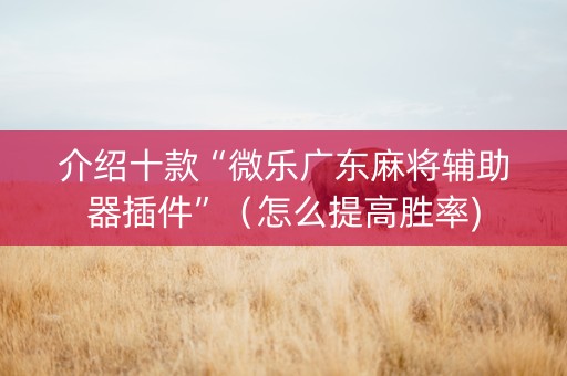 介绍十款“微乐广东麻将辅助器插件”（怎么提高胜率)