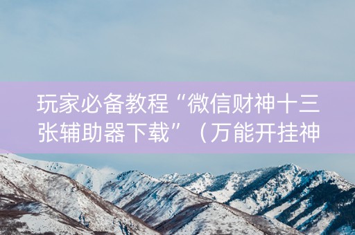 玩家必备教程“微信财神十三张辅助器下载”（万能开挂神器)