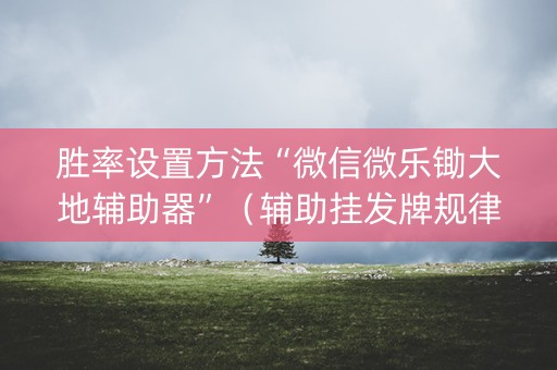 胜率设置方法“微信微乐锄大地辅助器”（辅助挂发牌规律)