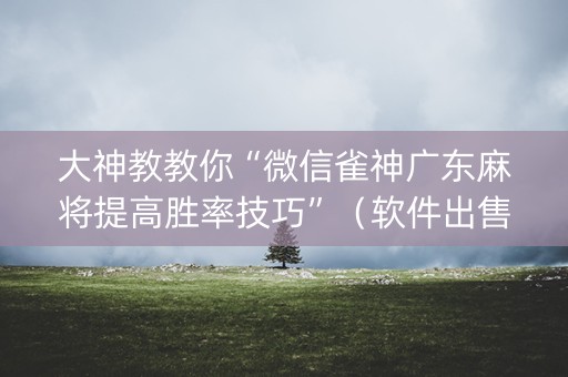 大神教教你“微信雀神广东麻将提高胜率技巧”（软件出售)