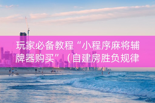 玩家必备教程“小程序麻将辅牌器购买”（自建房胜负规律)