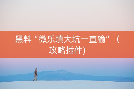 黑料“微乐填大坑一直输”（攻略插件)