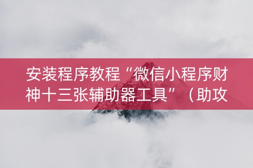 安装程序教程“微信小程序财神十三张辅助器工具”（助攻神器)