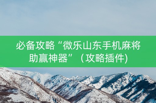 必备攻略“微乐山东手机麻将助赢神器”（攻略插件)