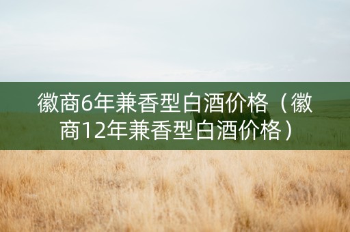 徽商6年兼香型白酒价格（徽商12年兼香型白酒价格）