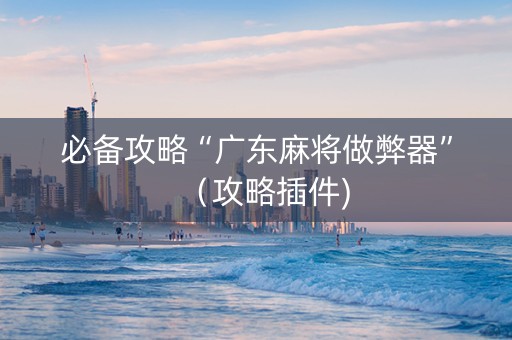 必备攻略“广东麻将做弊器”（攻略插件)
