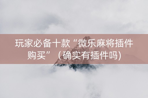 玩家必备十款“微乐麻将插件购买”（确实有插件吗)