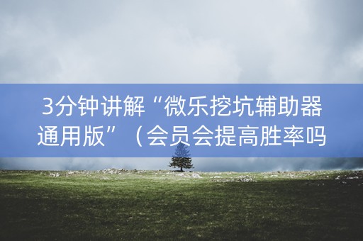 3分钟讲解“微乐挖坑辅助器通用版”（会员会提高胜率吗)