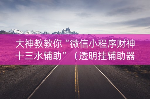 大神教教你“微信小程序财神十三水辅助”（透明挂辅助器)