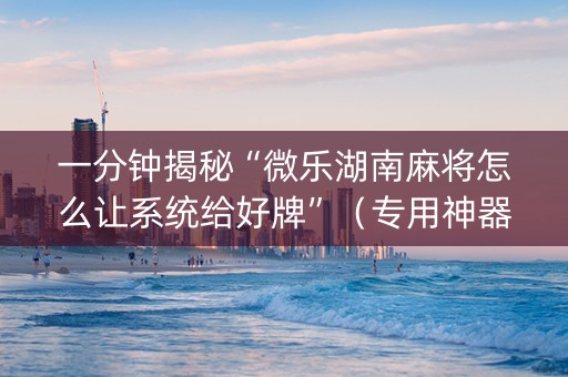 一分钟揭秘“微乐湖南麻将怎么让系统给好牌”（专用神器)