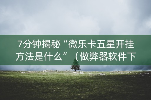 7分钟揭秘“微乐卡五星开挂方法是什么”（做弊器软件下载)