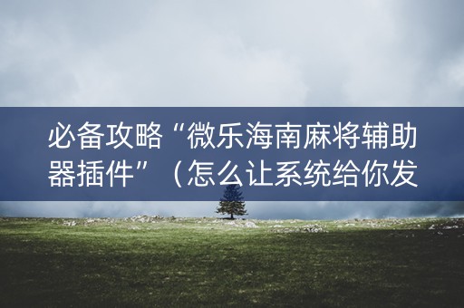 必备攻略“微乐海南麻将辅助器插件”（怎么让系统给你发好牌)