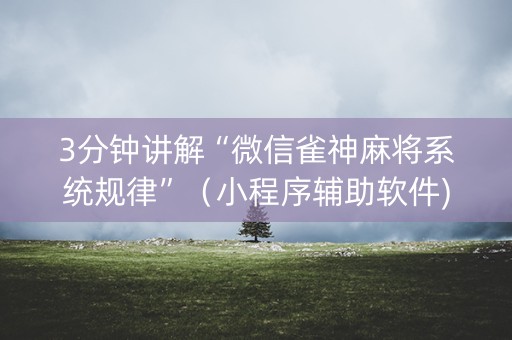 3分钟讲解“微信雀神麻将系统规律”（小程序辅助软件)