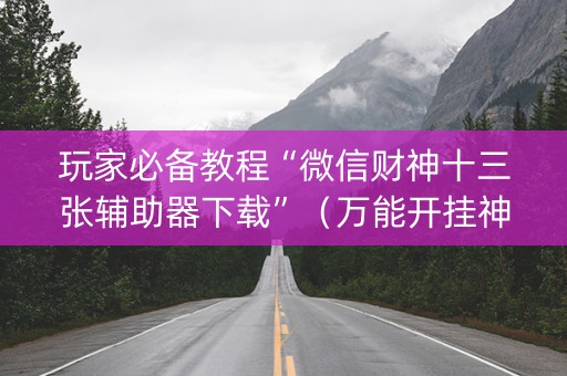 玩家必备教程“微信财神十三张辅助器下载”（万能开挂神器)