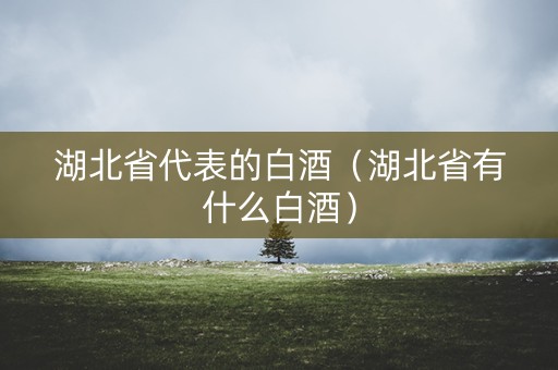 湖北省代表的白酒（湖北省有什么白酒）