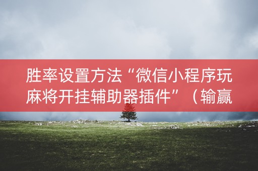 胜率设置方法“微信小程序玩麻将开挂辅助器插件”（输赢有什么规律)