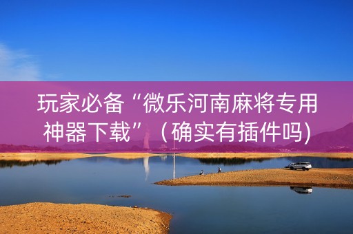 玩家必备“微乐河南麻将专用神器下载”（确实有插件吗)