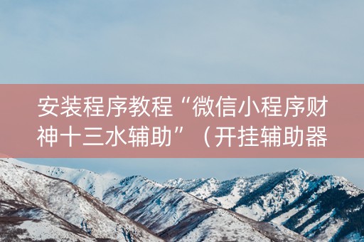 安装程序教程“微信小程序财神十三水辅助”（开挂辅助器脚本)