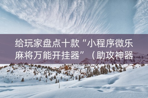 给玩家盘点十款“小程序微乐麻将万能开挂器”（助攻神器)