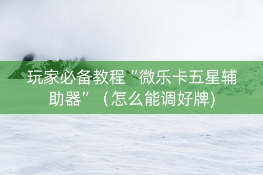 玩家必备教程“微乐卡五星辅助器”（怎么能调好牌)